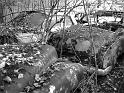 Autofriedhof - 174